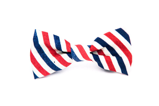 Red, White and Blue Bow Tie