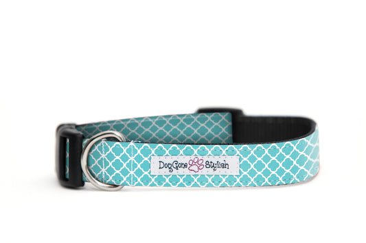 Teal Trefoil Flower Dog Collar